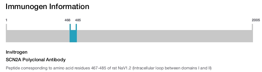 SCN2A Polyclonal Antibody