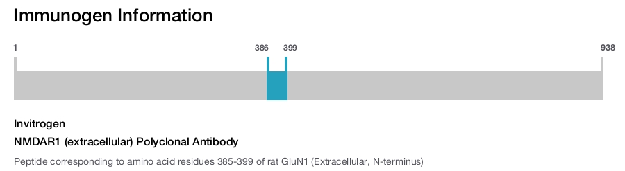 NMDAR1 (extracellular) Polyclonal Antibody