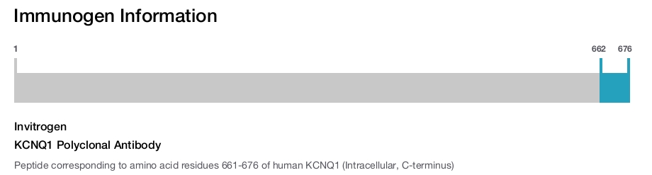 KCNQ1 Polyclonal Antibody