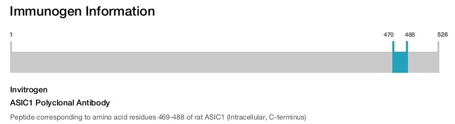 ASIC1 Polyclonal Antibody