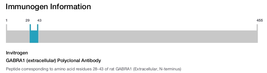 GABRA1 (extracellular) Polyclonal Antibody