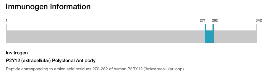P2Y12 (extracellular) Polyclonal Antibody