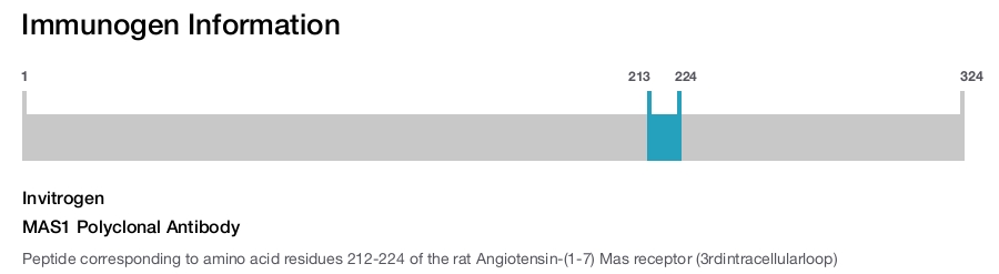 MAS1 Polyclonal Antibody