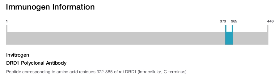 DRD1 Polyclonal Antibody