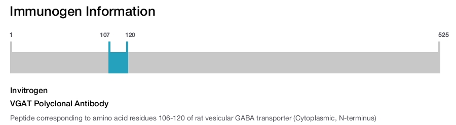 VGAT Polyclonal Antibody