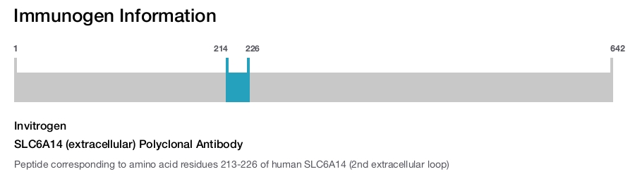 SLC6A14 (extracellular) Polyclonal Antibody
