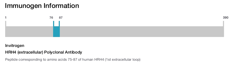 HRH4 (extracellular) Polyclonal Antibody