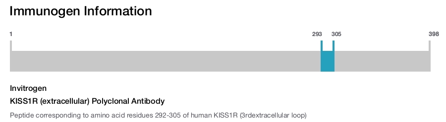 KISS1R (extracellular) Polyclonal Antibody