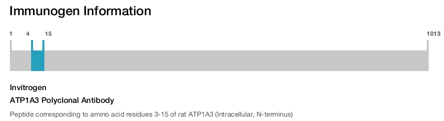 ATP1A3 Polyclonal Antibody