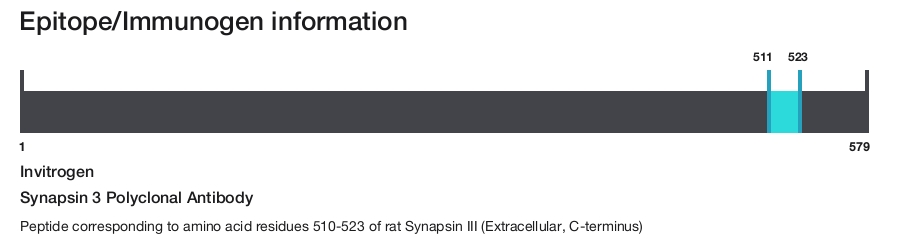Synapsin 3 Polyclonal Antibody