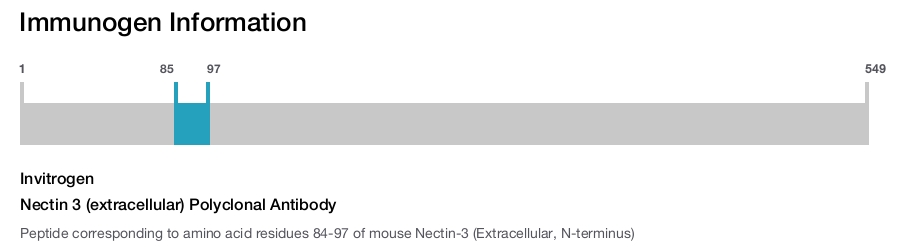 Nectin 3 (extracellular) Polyclonal Antibody