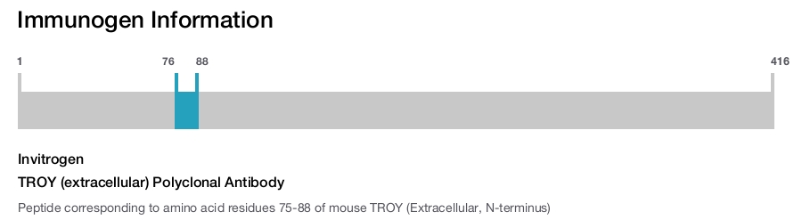 TROY (extracellular) Polyclonal Antibody