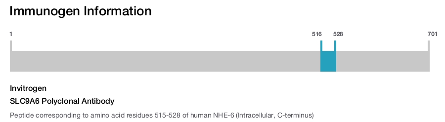 SLC9A6 Polyclonal Antibody