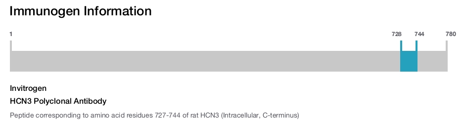 HCN3 Polyclonal Antibody