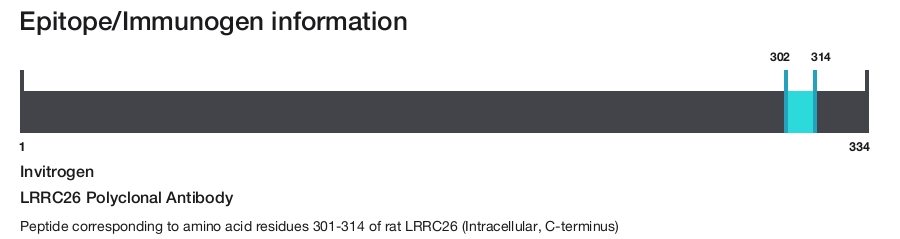 LRRC26 Polyclonal Antibody
