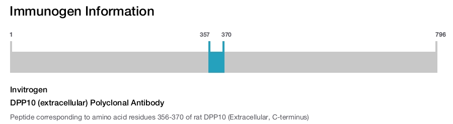 DPP10 (extracellular) Polyclonal Antibody
