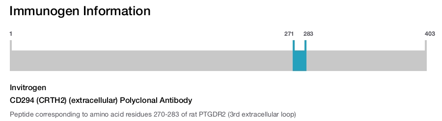 CD294 (CRTH2) (extracellular) Polyclonal Antibody