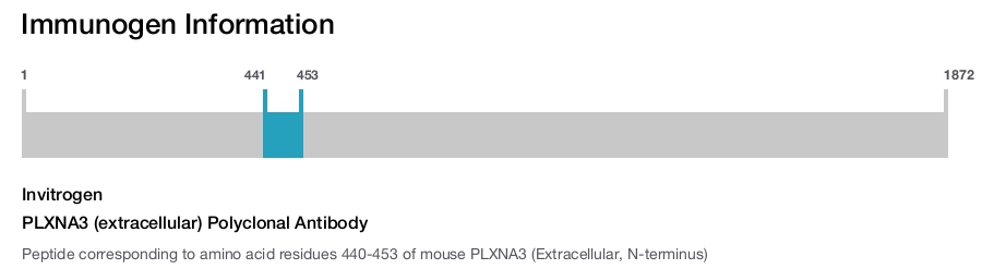PLXNA3 (extracellular) Polyclonal Antibody