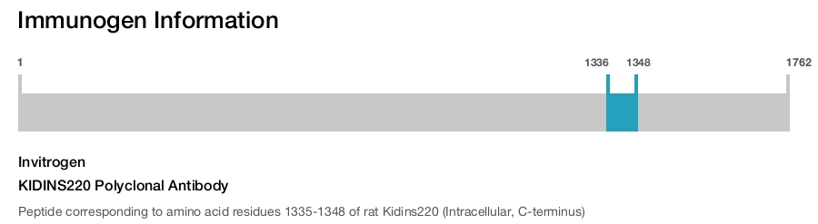 KIDINS220 Polyclonal Antibody