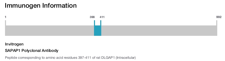 SAPAP1 Polyclonal Antibody