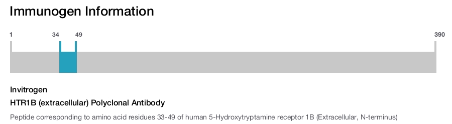 HTR1B (extracellular) Polyclonal Antibody