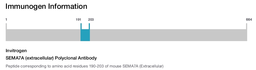 SEMA7A (extracellular) Polyclonal Antibody