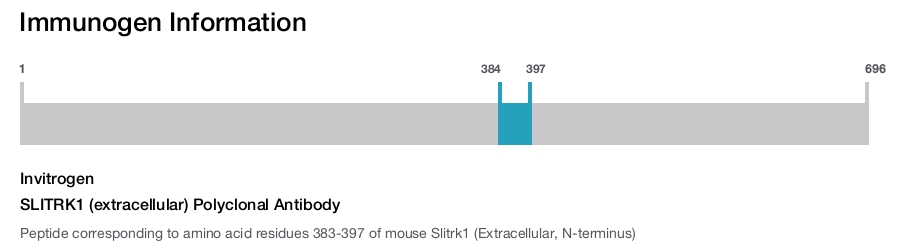 SLITRK1 (extracellular) Polyclonal Antibody