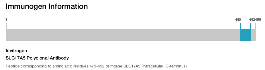 SLC17A5 Polyclonal Antibody