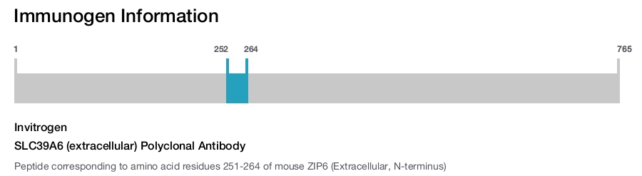SLC39A6 (extracellular) Polyclonal Antibody