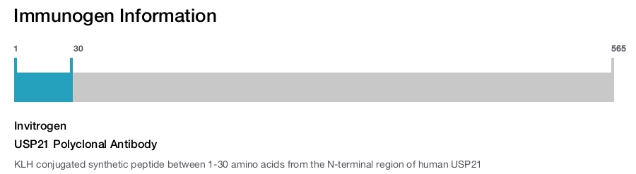 USP21 Polyclonal Antibody