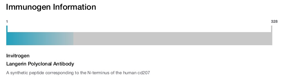 Langerin Polyclonal Antibody