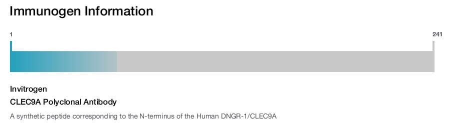 CLEC9A Polyclonal Antibody