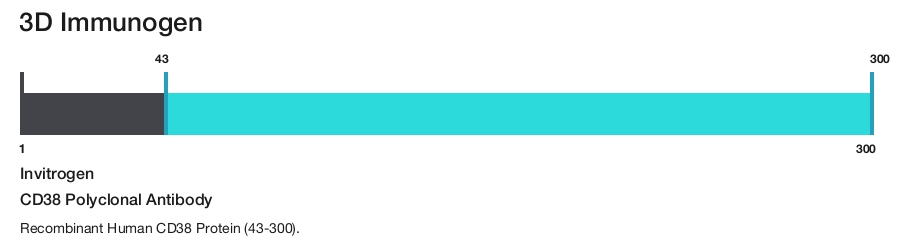 CD38 Polyclonal Antibody