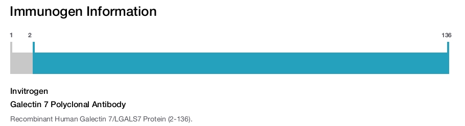 Galectin 7 Polyclonal Antibody