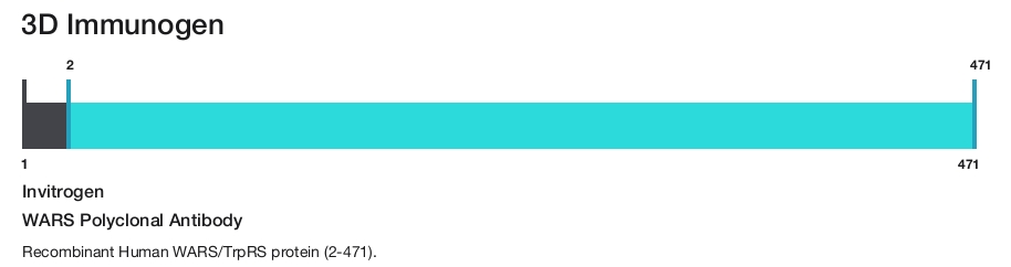 WARS Polyclonal Antibody