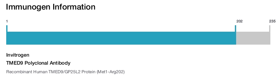 TMED9 Polyclonal Antibody