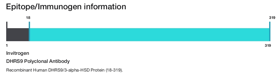 DHRS9 Polyclonal Antibody