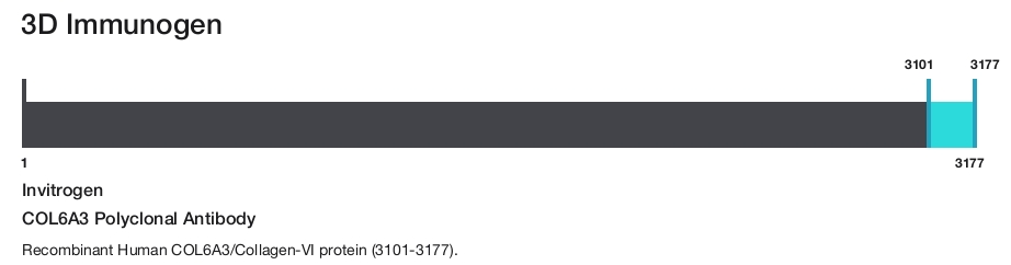 COL6A3 Polyclonal Antibody