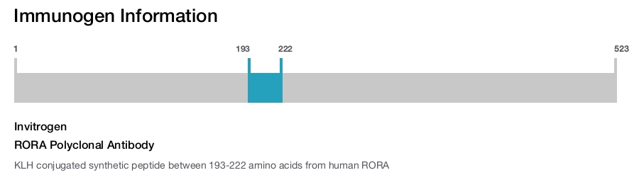 RORA Polyclonal Antibody