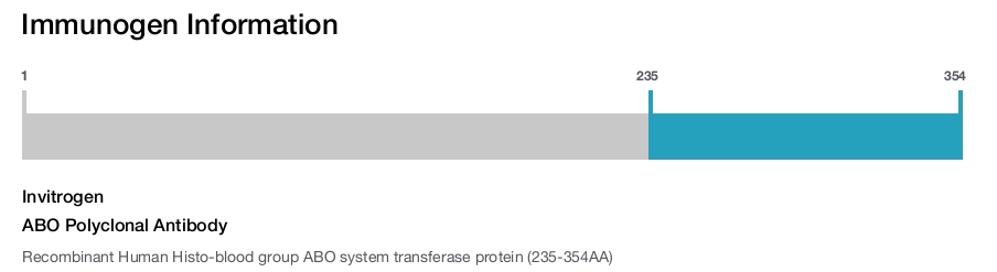 ABO Polyclonal Antibody