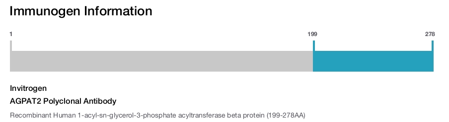 AGPAT2 Polyclonal Antibody