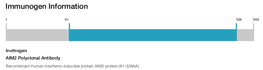 AIM2 Polyclonal Antibody