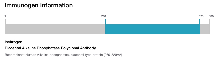 Placental Alkaline Phosphatase Polyclonal Antibody