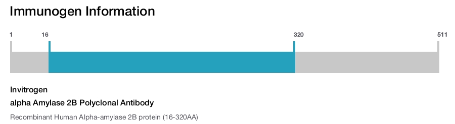 alpha Amylase 2B Polyclonal Antibody