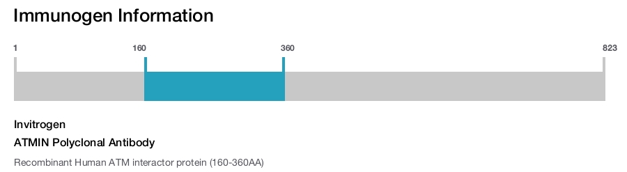 ATMIN Polyclonal Antibody