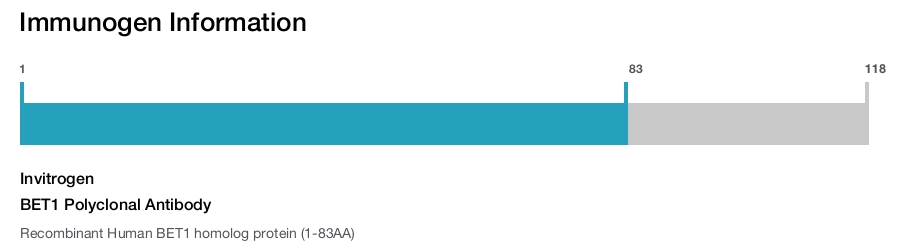 BET1 Polyclonal Antibody