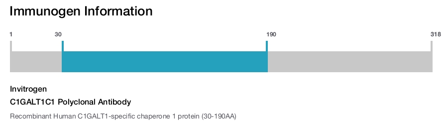 C1GALT1C1 Polyclonal Antibody