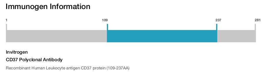 CD37 Polyclonal Antibody