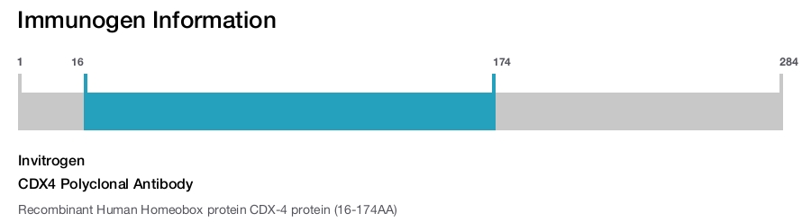 CDX4 Polyclonal Antibody