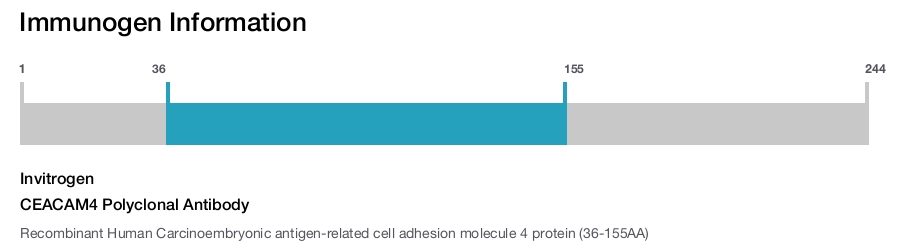 CEACAM4 Polyclonal Antibody